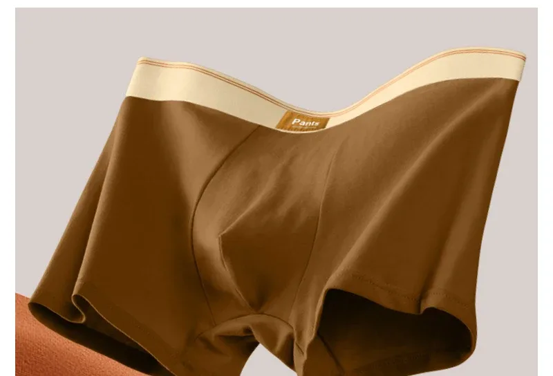 남성 속옷 코튼 BoxerShorts Hombre 팬티 남자 통기성 속옷 섹시한 스포츠 컴포트 남성 복서 대형 L-7XL — image 7