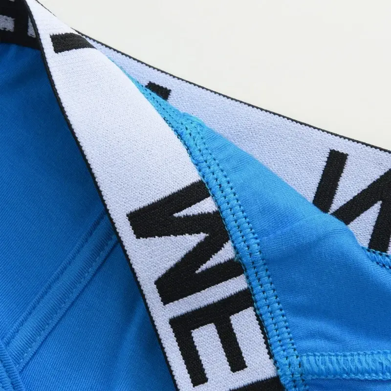 1Pcs/Set Men's Viscose Letter Panties Seamless High Quality Breathable Underpants Male Elastic Soft Comfortable Underwear S-XL