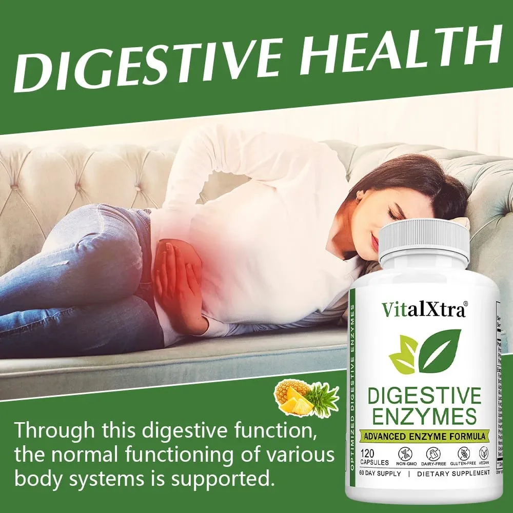 Digestive Enzymes Capsules - Most Essential Digestive Enzymes (Amylase Lipase Bromelain Lactase Cellulase Invertase)