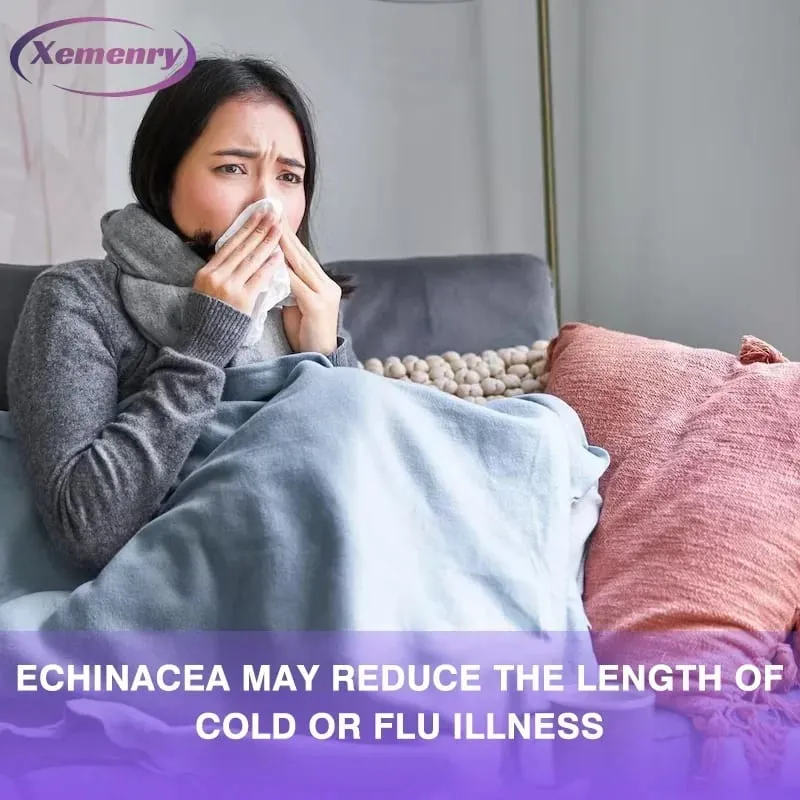 Echinacea kapszula 400 mg - Támogatja az immunrendszer és a légzőrendszer egészségét és csökkenti a megfázás hosszát kiegészítő — image 6