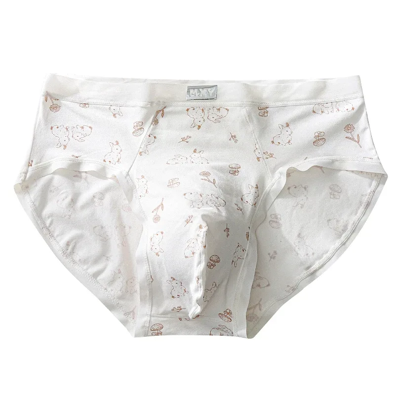 Men Sexy Briefs Sissy Lingerie Ice Silk Floral Print Panties U Convex Pouch Underwear Thin Daily Underpants Calzoncillos Hombre — image 6