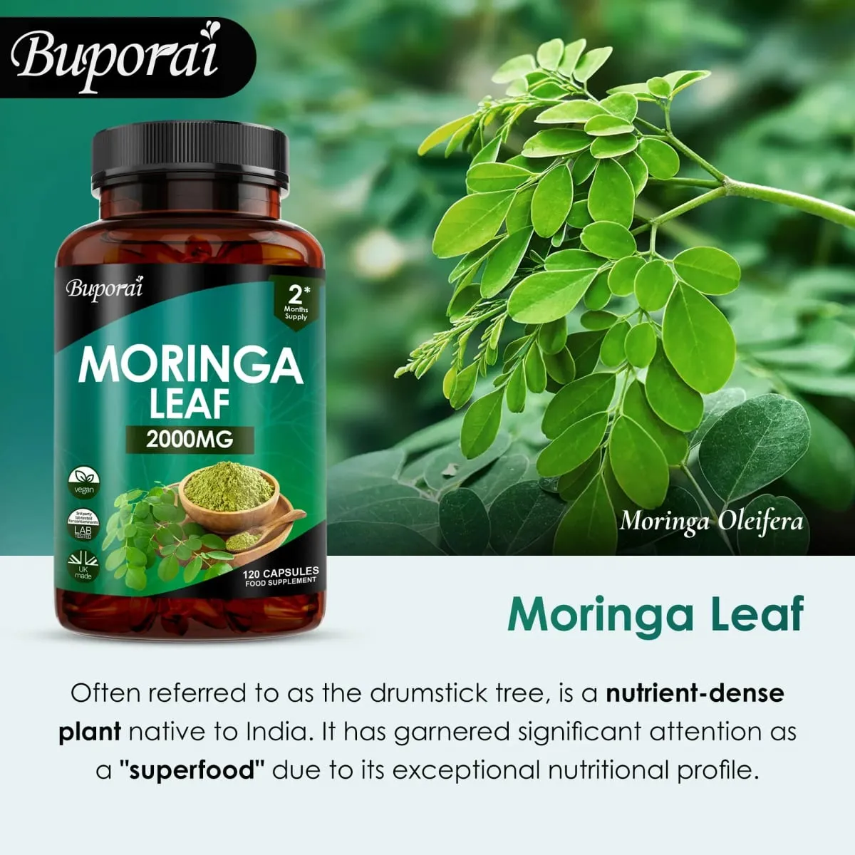 Moringa Leaf Capsules - Supports Digestive and Intestinal Health Antioxidants Nourishes Skin Improves Energy Levels