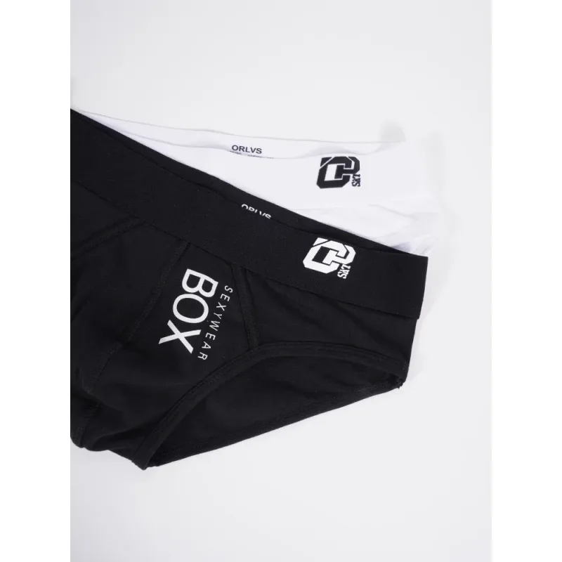 1/2Pcs High Quality Low Waist Sexy Mens Underwear Briefs Letter Print Men's Lingerie Cotton Men's Briefs Bikini Man Underpants — image 21