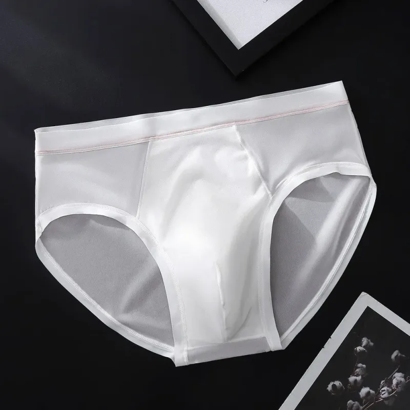 Men's Seamless Ice Silk Briefs Underwear Bulge Pouch Solid Breathable Panties Calzoncillos Hombre Slips Male Panties — image 9