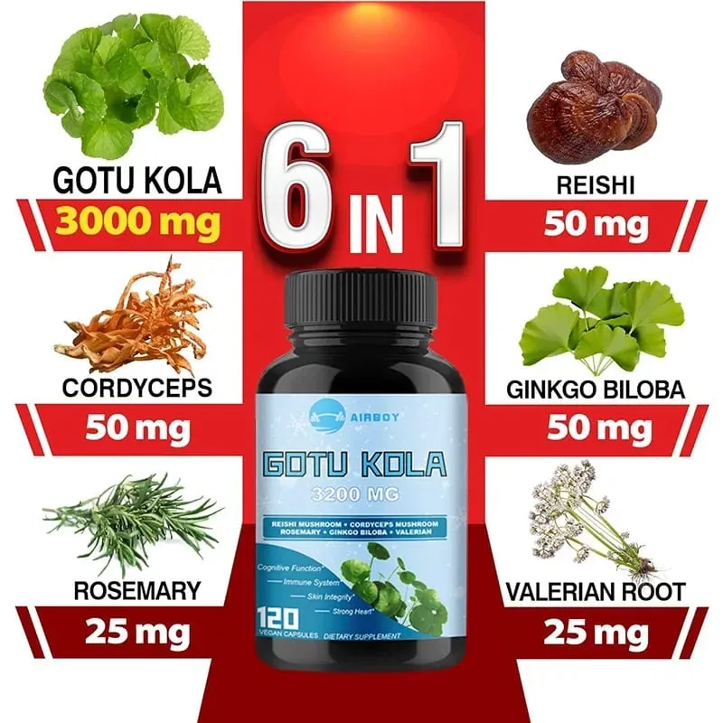 Gotu Kola Capsules - Brain Cognition Immune System Skin Energy & Circulation Supplement - Non-GMO & Gluten FreeSupplements — image 2