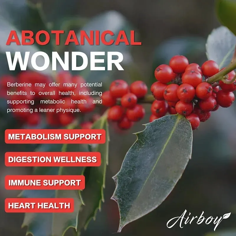 Berberine Capsules - with Ceylon Cinnamon - Blood Sugar Balance Cardiovascular Health Aid Digestion Promote MetabolismSupplem — image 4