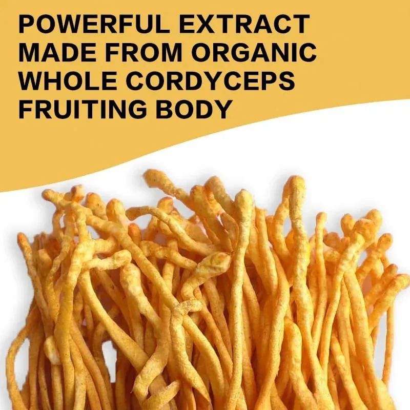 Cordyceps Mushroom Capsules - Boost Energy and Endurance Enhance Memory and Concentration and Relieve StressSupplementsSupplem — image 6