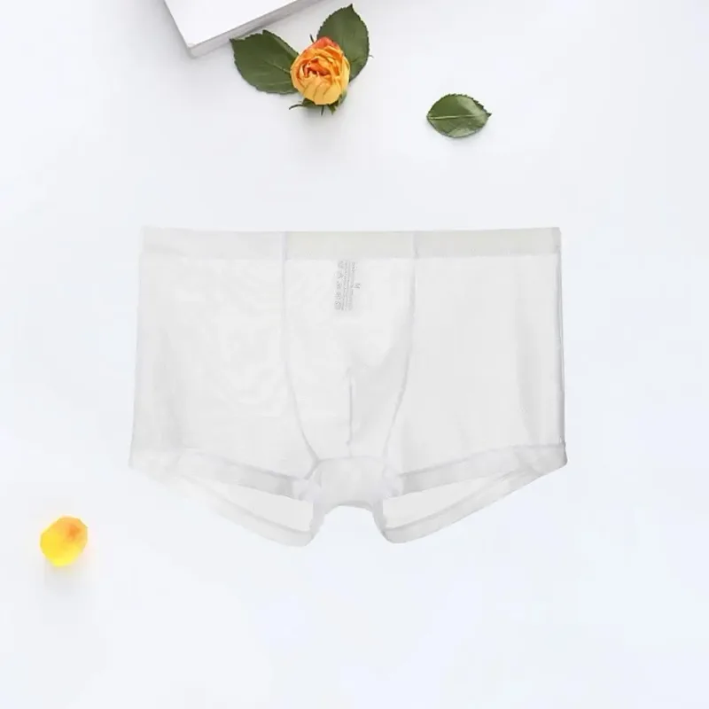 Genomskinliga boxershorts för män genomskinlig manliga kalsonger Sexiga Mesh Låg midja Is Silke Tunn Kylning Herr Trosor Herr Underkläder — image 15