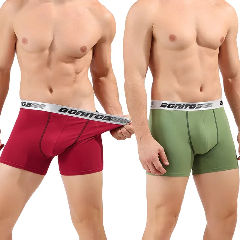 5 pçs cuecas masculinas de algodão boxer briefs clássico calcinha bonitos carta cintura elástica boxers roupa interior para homem shorts — image 5
