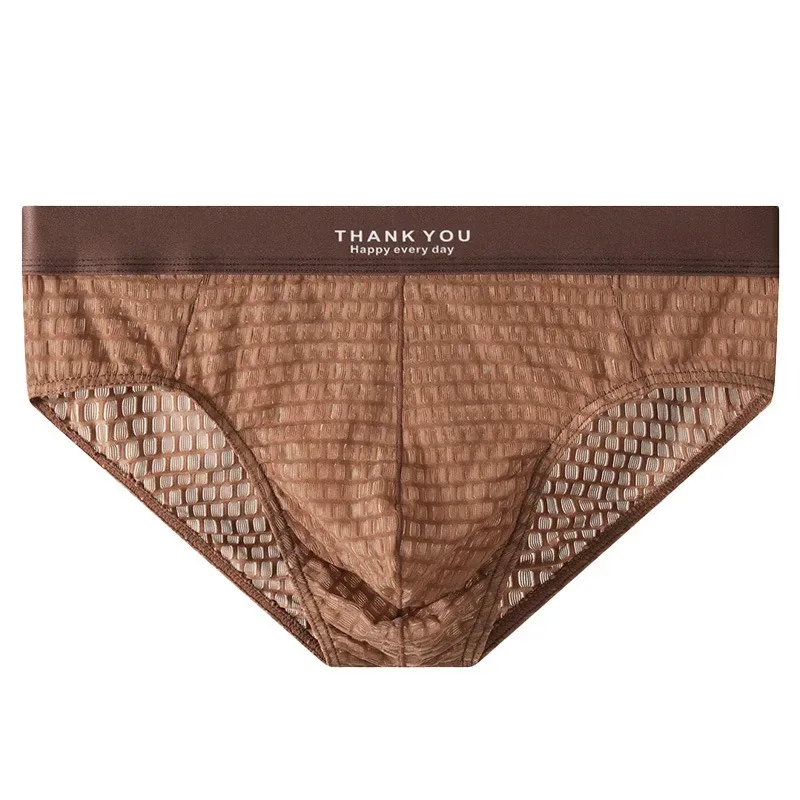 Transparent Mesh Underwear Male Ultra Thin Sheer Briefs Breathable Underpants Bulge Pouch Panties Soft Lingerie Low Rise Knicker — image 5