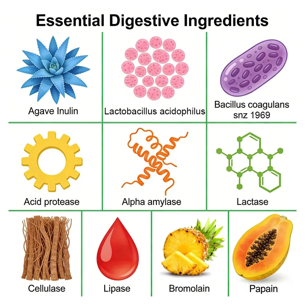 Probiotic Prebiotics & Digestive Enzymes Capsules Colon Cleanse & Detox Supports Gut Health Digestion & Balance Gut Bacteria — image 5