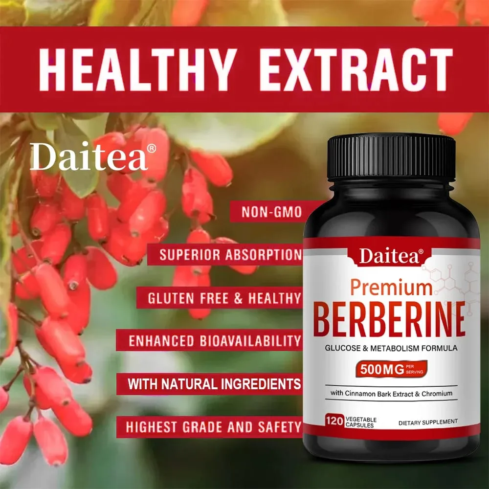 Berberine HCL 500mg Κάψουλες με Κανέλα Αντιοξειδωτική Υποστήριξη Καρδιά Μεταβολικό Καρδιαγγειακό Πεπτικό & Ανοσοποιητικό Υγεία — image 3