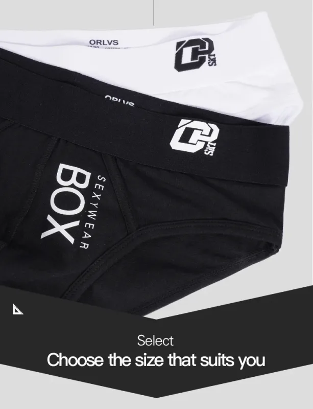 1/2Pcs High Quality Low Waist Sexy Mens Underwear Briefs Letter Print Men's Lingerie Cotton Men's Briefs Bikini Man Underpants — image 11