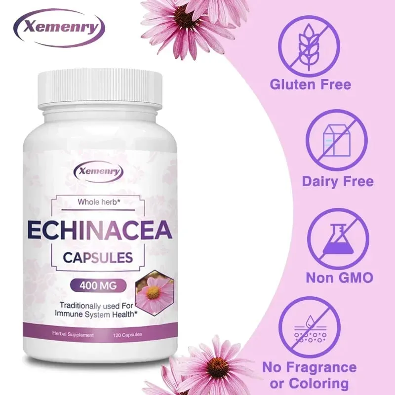 Echinacea kapszula 400 mg - Támogatja az immunrendszer és a légzőrendszer egészségét és csökkenti a megfázás hosszát kiegészítő — image 3