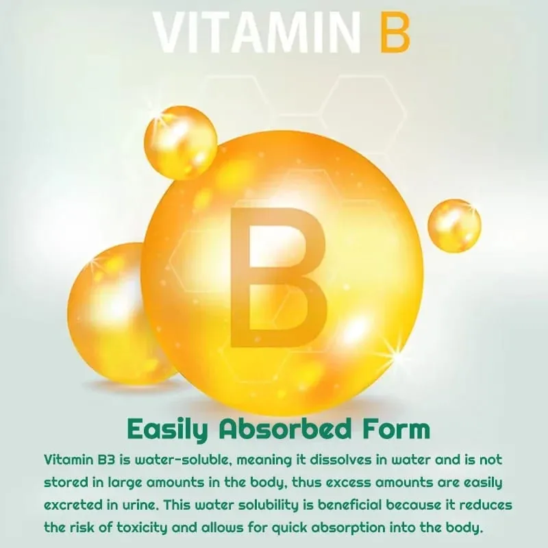 Niacinamide Vitamin B3 Capsules - Supports Skin Brain Function and Heart Health Boosts Energy and Improves The Immune System — image 6